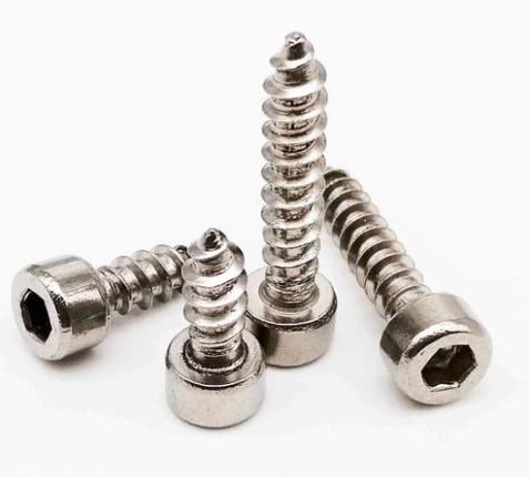 SS304 hex socket wood screw - Haiyanbolt.com